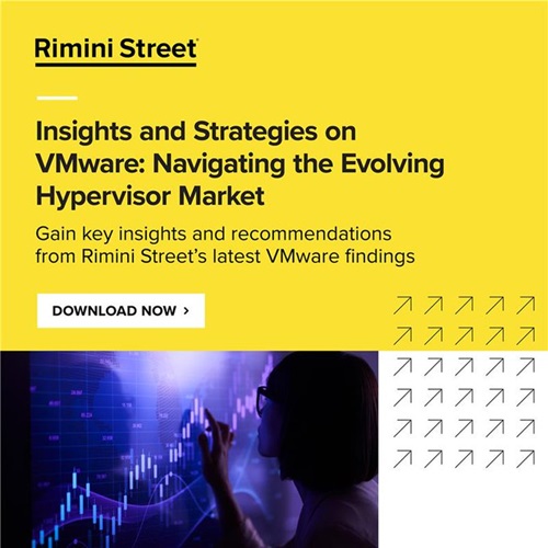 리미니스트리트, VM 웨어 고객 설문조사 발표